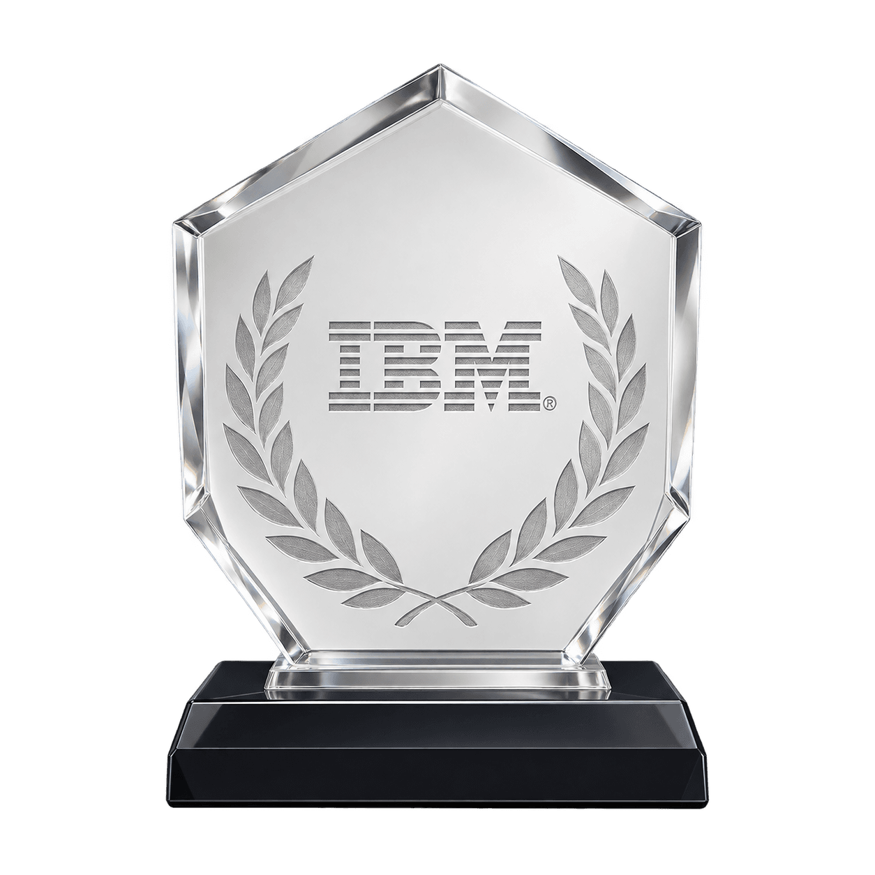 IBM Excellence Award — Outstanding Customer Impact